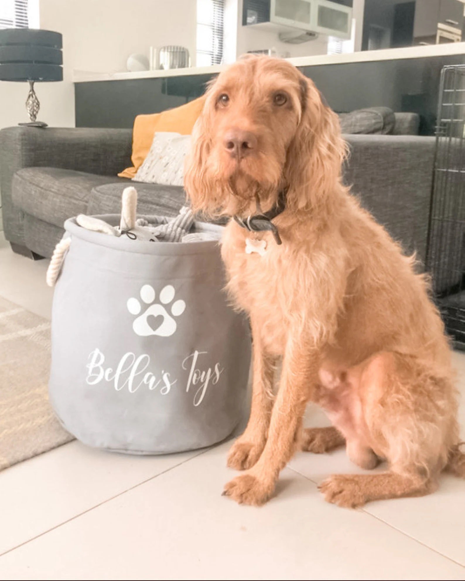 Canvas Pet Storage Basket