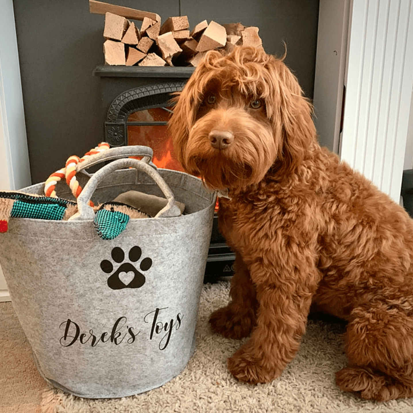 Personalised Dog Toy Basket – Custom Felt Storage for Pets - Jessica Hollie GiftsStorage